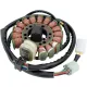 Stator RICK'S MOTORSPORT ELECTRIC 21-916