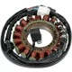 Stator RICK'S MOTORSPORT ELECTRIC 21-968H