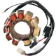 Stator Arctic RICK'S MOTORSPORT ELECTRIC 24-001