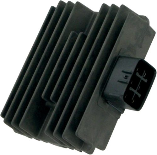 Stator RICK'S MOTORSPORT ELECTRIC 10-413