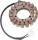 Stator RICK'S MOTORSPORT ELECTRIC 21-001