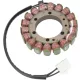 Stator RICK'S MOTORSPORT ELECTRIC 21-001