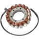 Stator RICK'S MOTORSPORT ELECTRIC 21-003