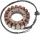 Stator RICK'S MOTORSPORT ELECTRIC 21-004