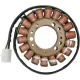 Stator RICK'S MOTORSPORT ELECTRIC 21-005
