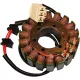 Stator RICK'S MOTORSPORT ELECTRIC 21-126