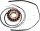 Stator RICK'S MOTORSPORT ELECTRIC 21-309