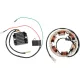 Kit încărcare (stator + releu) RICK'S MOTORSPORT ELECTRIC 99-101