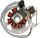 Stator RICK'S MOTORSPORT ELECTRIC 21-550