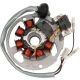 Stator RICK'S MOTORSPORT ELECTRIC 21-550