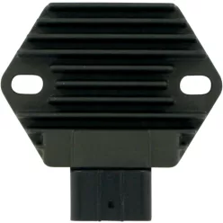 Stator RICK'S MOTORSPORT ELECTRIC 10-142