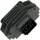 Stator RICK'S MOTORSPORT ELECTRIC 10-422