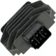 Stator RICK'S MOTORSPORT ELECTRIC 10-422