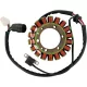 Stator RICK'S MOTORSPORT ELECTRIC 21-917