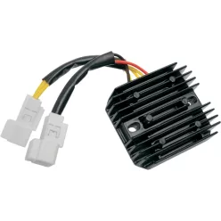 Stator RICK'S MOTORSPORT ELECTRIC 10-129