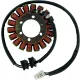 Stator RICK'S MOTORSPORT ELECTRIC 21-121