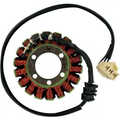 Stator RICK'S MOTORSPORT ELECTRIC 21-124