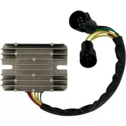 Stator RICK'S MOTORSPORT ELECTRIC 10-312