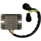 Stator RICK'S MOTORSPORT ELECTRIC 10-312