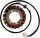 Stator RICK'S MOTORSPORT ELECTRIC 21-006