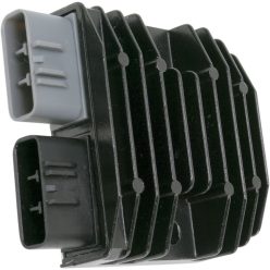 Stator RICK'S MOTORSPORT ELECTRIC 10-314