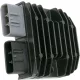 Stator RICK'S MOTORSPORT ELECTRIC 10-314
