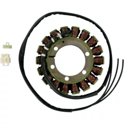 Stator RICK'S MOTORSPORT ELECTRIC 21-316