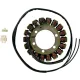 Stator RICK'S MOTORSPORT ELECTRIC 21-316