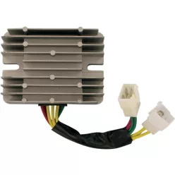 Stator RICK'S MOTORSPORT ELECTRIC 10-219