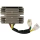 Stator RICK'S MOTORSPORT ELECTRIC 10-219