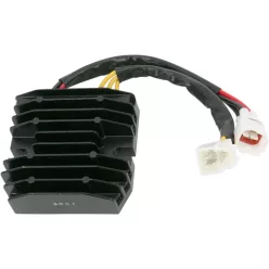Stator RICK'S MOTORSPORT ELECTRIC 10-207
