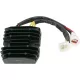 Stator RICK'S MOTORSPORT ELECTRIC 10-207