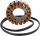 Stator RICK'S MOTORSPORT ELECTRIC 21-008