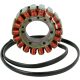 Stator Aprilia Tuono 06