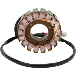 Stator RICK'S MOTORSPORT ELECTRIC 21-010