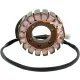 Stator RICK'S MOTORSPORT ELECTRIC 21-010
