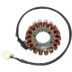 Stator Yam Fz1 01-05