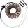 Stator RICK'S MOTORSPORT ELECTRIC 21-230