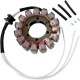 Stator RICK'S MOTORSPORT ELECTRIC 21-230