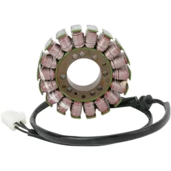 Stator RICK'S MOTORSPORT ELECTRIC 21-011