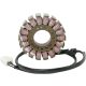 Stator Triumph