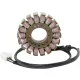 Stator RICK'S MOTORSPORT ELECTRIC 21-011