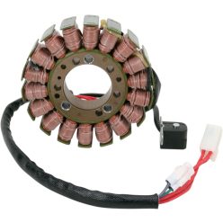 Stator Triumph