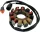 Stator Ski Doo RICK'S MOTORSPORT ELECTRIC 24-100
