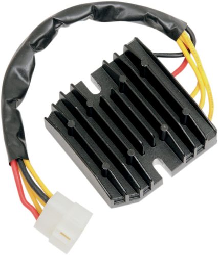 Stator RICK'S MOTORSPORT ELECTRIC 10-004H