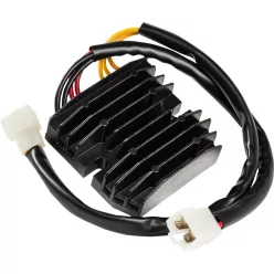 Stator RICK'S MOTORSPORT ELECTRIC 10-005H