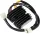 Stator RICK'S MOTORSPORT ELECTRIC 10-005H