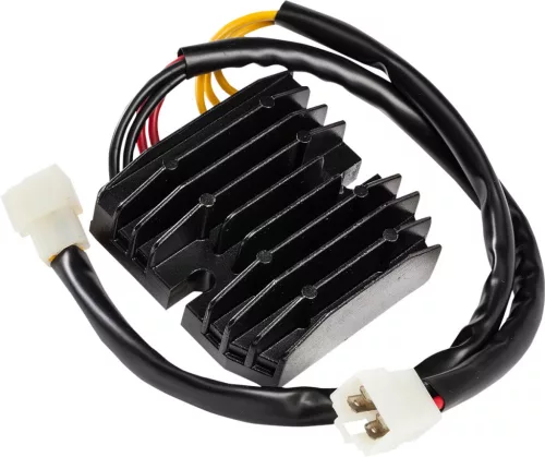 Stator RICK'S MOTORSPORT ELECTRIC 10-005H