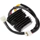 Stator RICK'S MOTORSPORT ELECTRIC 10-005H