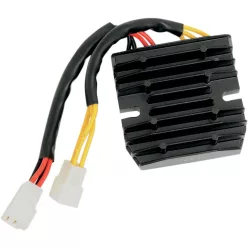 Stator RICK'S MOTORSPORT ELECTRIC 10-007H